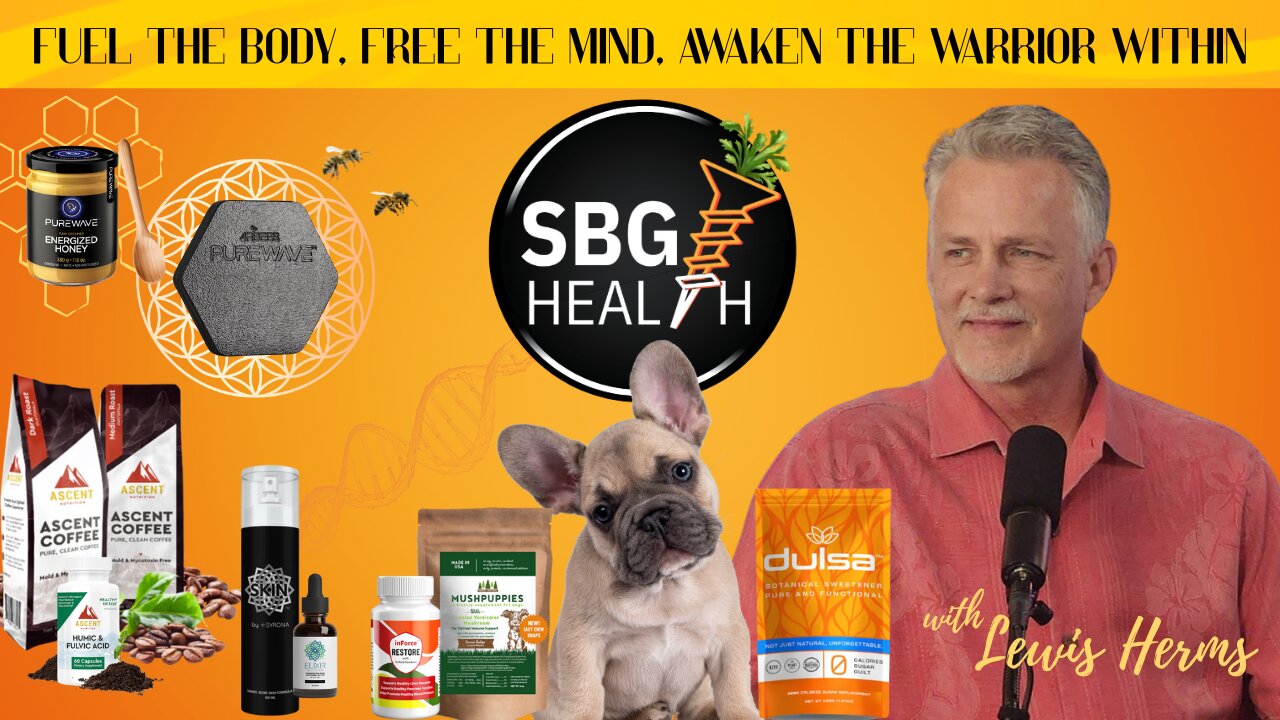 SBG HEALTH: What's Really Feeding Off Your Energy?