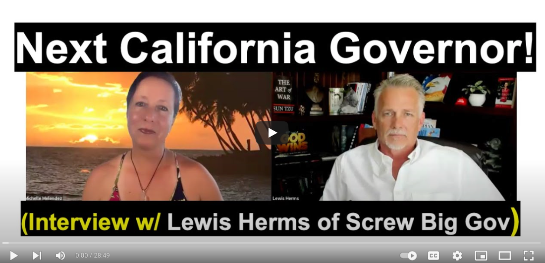 Next California Governor! (Interview w/ Lewis Herms of Screw Big Gov)