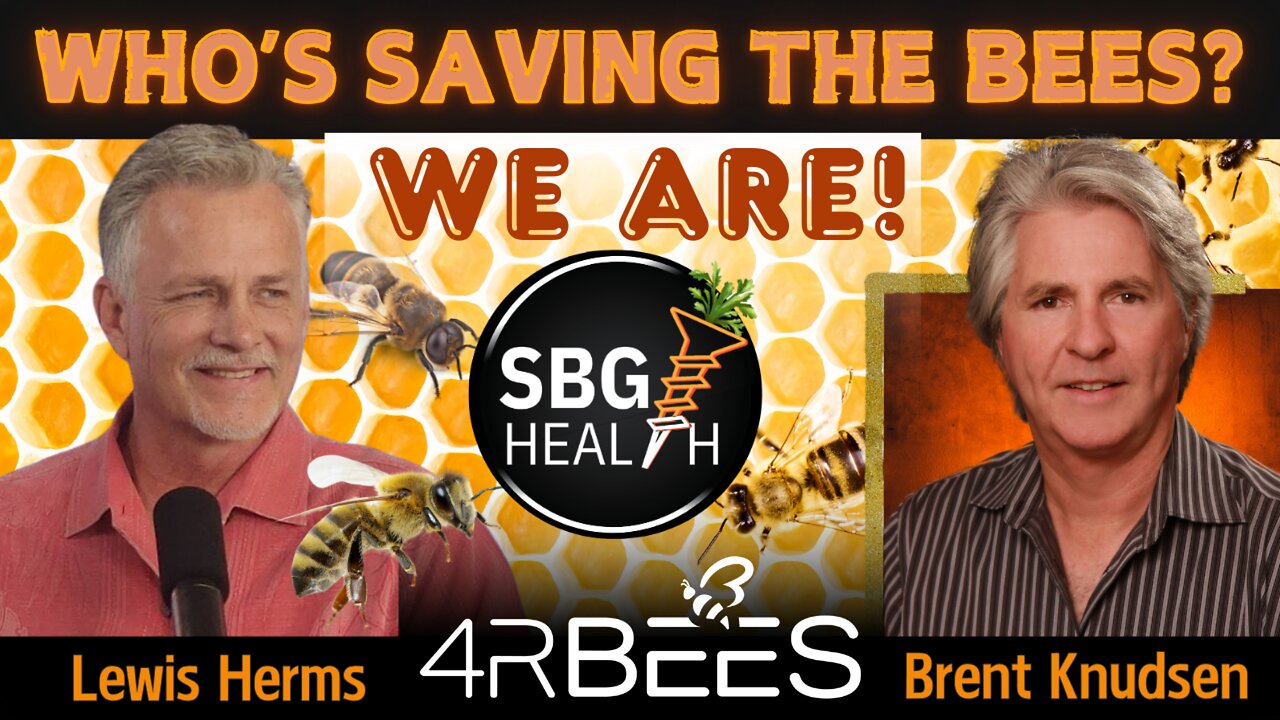 FROM BEES TO BIRDS TO PETS TO PEOPLE - A Quantum Breakthrough You’ll Want to See 🐝✨