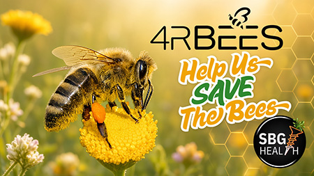 4 Our Bees